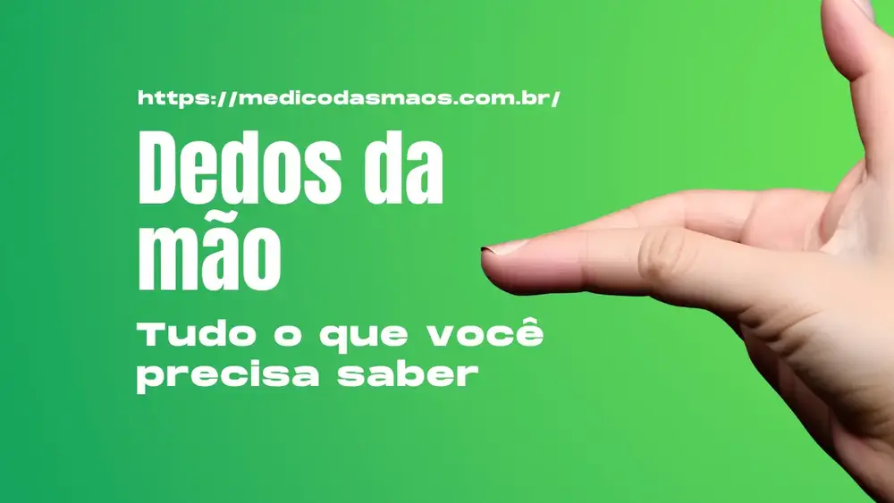 Dedos da mão: Tudo o que você precisa saber